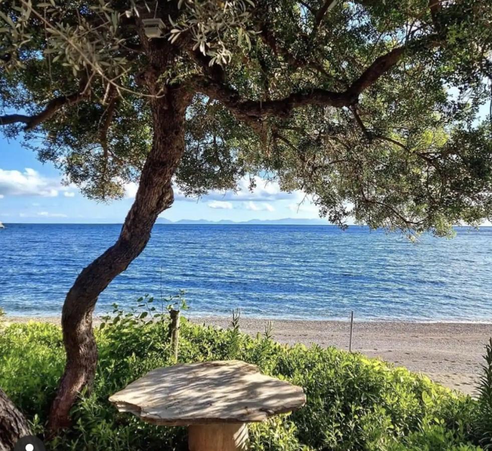 Dadya Villa 1 - Villa With Private Pool - 750M Distance To The Beach Datça Buitenkant foto